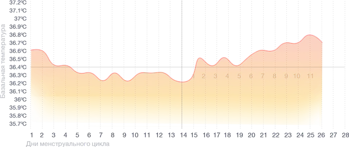 Базальная температура во время беременности