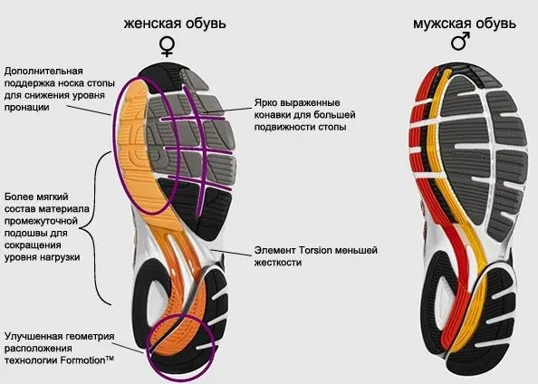 Виды кроссовок